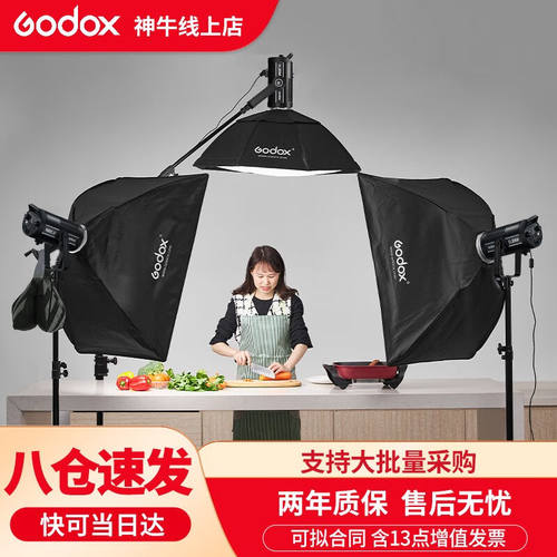神牛（Godox）SL200W三代直播补光灯LED摄影套装视频拍摄常亮灯SL