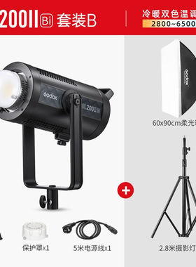 神牛（Godox）SL200wiiBi补光灯LED双色温摄影灯直播美食服装拍摄