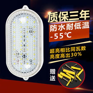 led冷库灯防水防潮防爆led灯24v36v船用照明灯低温灯泡冻库厂房专