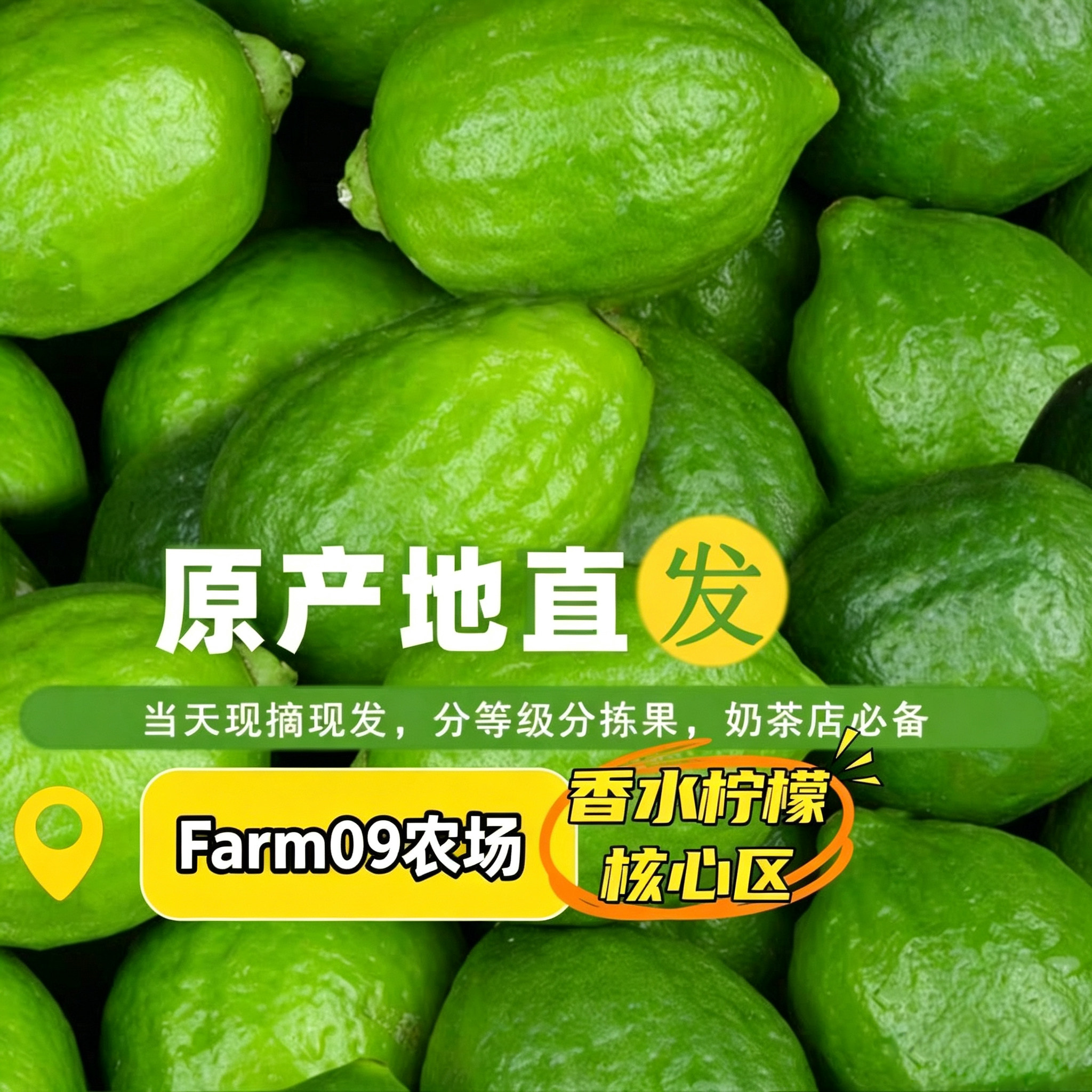 老板亲手现摘新鲜广东香水柠檬3斤+装满箱为止大部份地区京东包邮