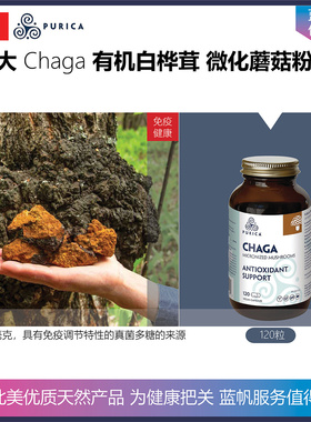 【温哥华直邮】120粒 加拿大 PURICA Chaga 有机白桦茸微化蘑菇粉