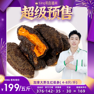 【King哥直播间】张珍记红极参海参加拿大野生北极红参送老人礼物