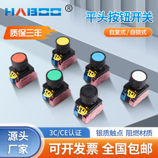 复位自锁平头按钮开关防水启动电源开关22MM A1E同款 YW1B M1E