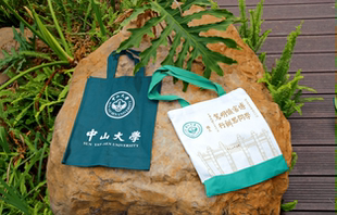 中山大学定制帆布袋