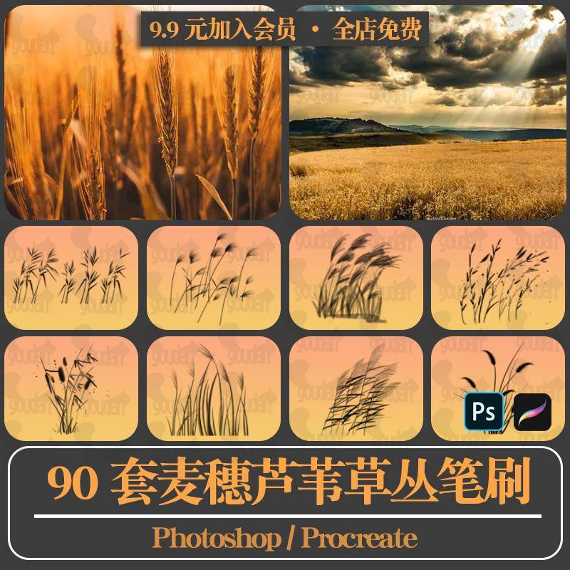 古风田园乡村景观麦田麦穗芦苇野样图/效果图销售