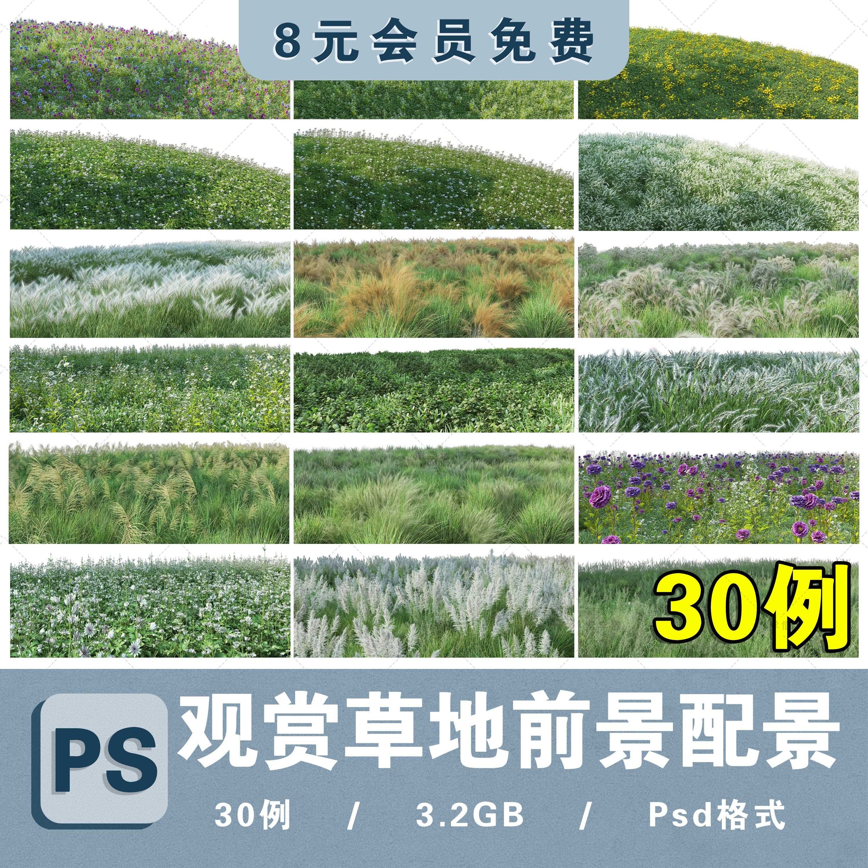 肾蕨狼尾草观赏草丛草地草坪配景背景前景免抠分层PS高清贴图素材