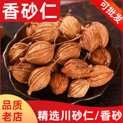 香料大全香沙仁火锅烧菜川砂仁