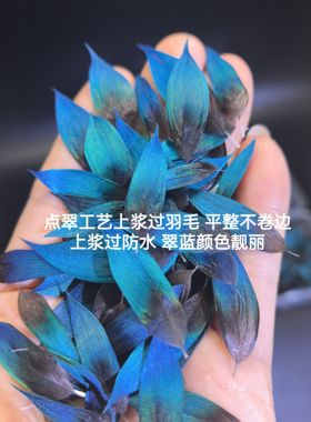 特价点翠羽毛工艺上浆孔雀脖子蓝片DIY手工饰品装饰配件材料羽毛