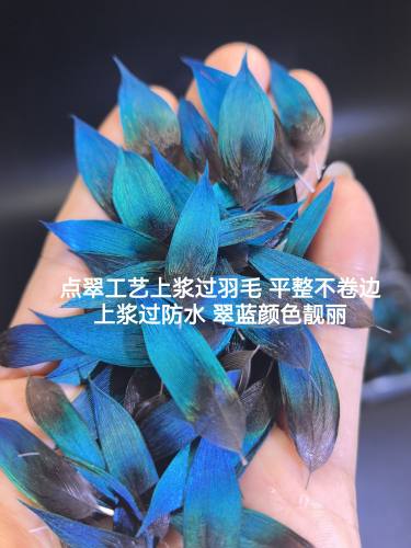 特价点翠羽毛工艺上浆孔雀脖子蓝片DIY手工饰品装饰配件材料羽毛