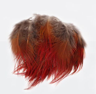 点翠工艺红腹锦鸡羽毛DIY饰品耳坠自然色服装配饰手工艺浆毛