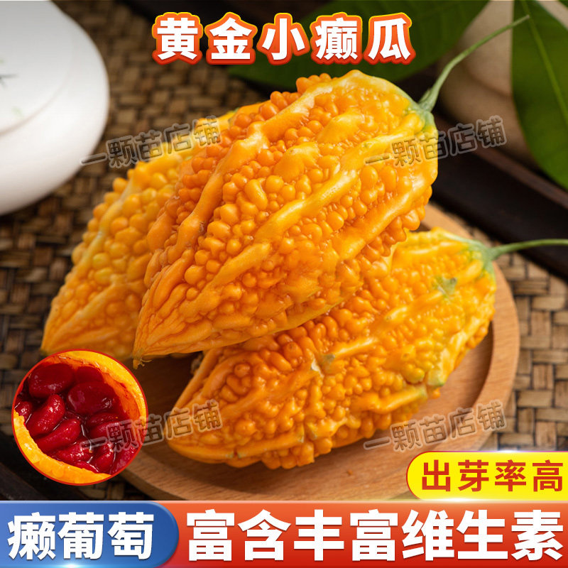 黄金小濑瓜种子赖葡萄金铃子小癞瓜小苦瓜庭院家庭瓜果蔬菜种籽孑