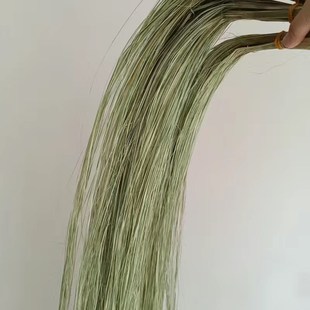 拉丝水蜡叶水烛叶丝干花香蒲叶风干花束垂挂大型造景真花装饰花材