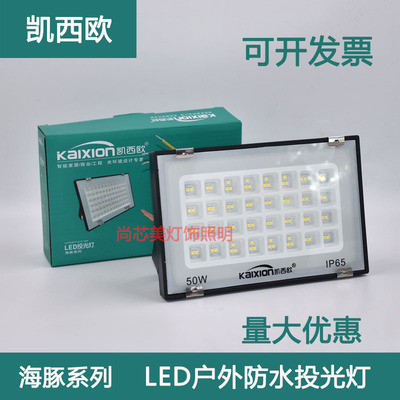 凯西欧LED户外照明庭院防水探照路灯工程车间厂房投光射灯100w50W