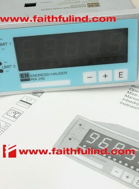 E+H RIA250-A21R31 恩德斯豪斯全新过程测控显示仪