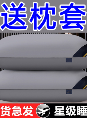 家用宿舍专用枕头套搭配枕芯一套护颈椎助睡眠不塌陷不变形可水洗