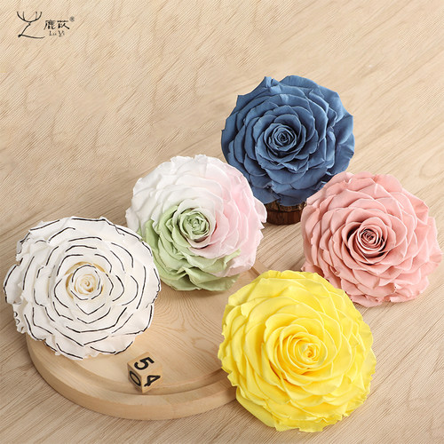 永生花巨型玫瑰10cm大号diy