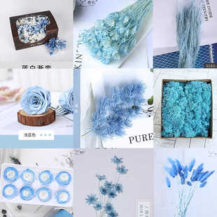永生花蓝色系列碎冰蓝八角花苔藓干花婚庆植物墙蓬莱松diy材料包