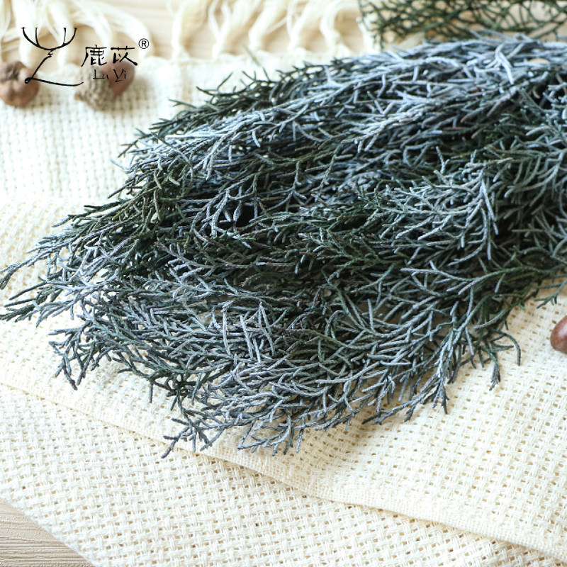 永生花鹿角松手工diy材料包国产真绿植辅料圣诞树装饰松针柏松叶_虎窝淘