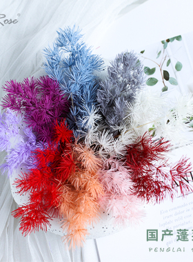 国产蓬莱松永生花配材保鲜花礼盒插花原材料diy浮游花标本手作