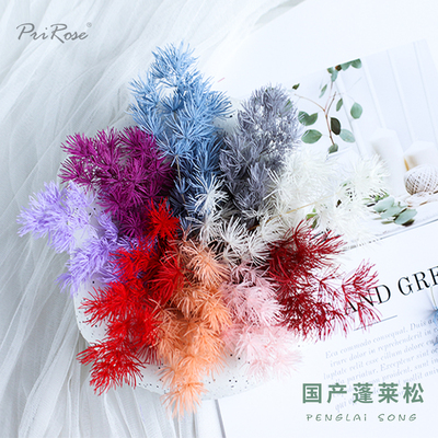 蓬莱松prirose浮游花永生礼盒