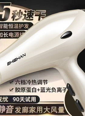 德国高速电吹风机3000w大风力家用大功率发廊5000w负离子护发速干