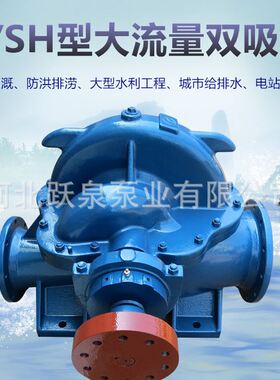 厂家直销14SH-13型卧式双吸泵单级双吸式离心泵大流量高扬程