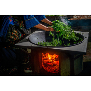 苗野龙吟新茶上市保靖黄金茶绿茶高山原生态明前春茶嫩芽送礼茶叶
