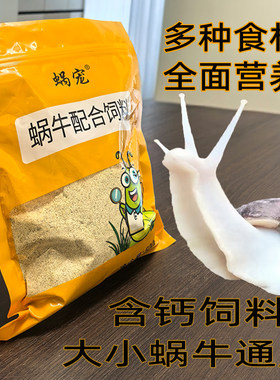 白玉蜗牛宠物蜗牛饲料营养品钙粉