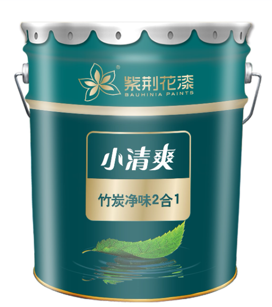 紫荆花小清爽竹炭净味2合1