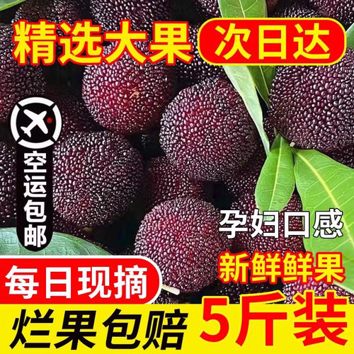 26年头茬杨梅大果顺丰空运送到家