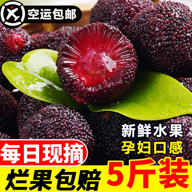 26年新鲜杨梅鲜果石屏早梅当季孕妇水果现货现摘鲜杨梅非冷冻空运