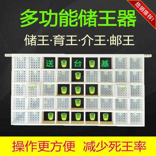 新型多功能塑料储王器中蜂意蜂蜜蜂囚王笼蜂王关王器储王盒蜂具