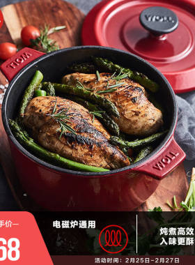 WOLL珐琅铸铁锅家用锅具煲汤锅多功能铸铁焖烧炖锅20cm