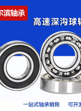 哈尔滨薄壁深沟球轴承6815 6816 6817 6818 6919 6820  ZZ 2RS