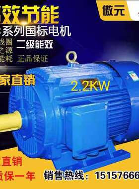 三相异步电动机YE3系列电机全铜国标YE3-Y100L1-4极2.2KW电机380V