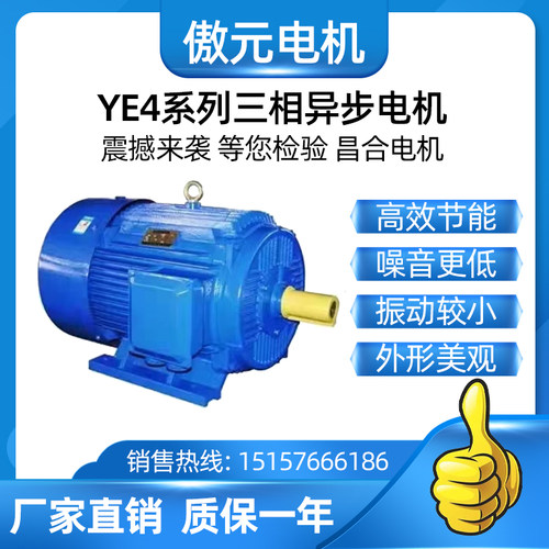 三相异步电动机YE4系列电机全铜国标YE4-225M-4极45KW电机380V