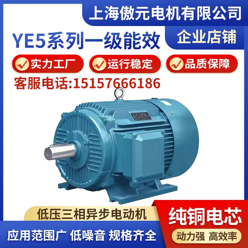 三相异步电动机全新铜国标YE5-225S-4极37KW千瓦马达380v