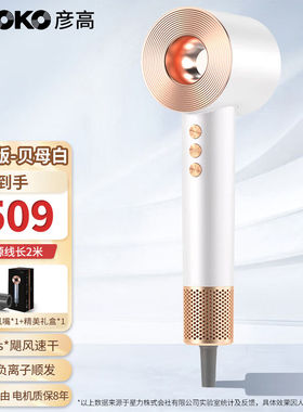 彦高AKOKO电吹风家用负离子护发大功率速干高速吹风机理发店专用