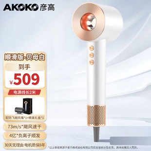 彦高AKOKO电吹风家用负离子护发大功率速干高速吹风机理发店专用