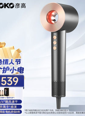 彦高AKOKO电吹风家用负离子护发大功率速干高速吹风机理发店专用