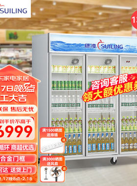 穗凌冰柜展示柜冷藏保鲜柜双开门多门啤酒饮料超市立式冷柜蔬菜酒