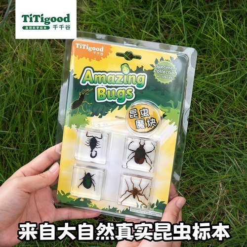 千千谷自然魔块昆虫树脂标本礼物