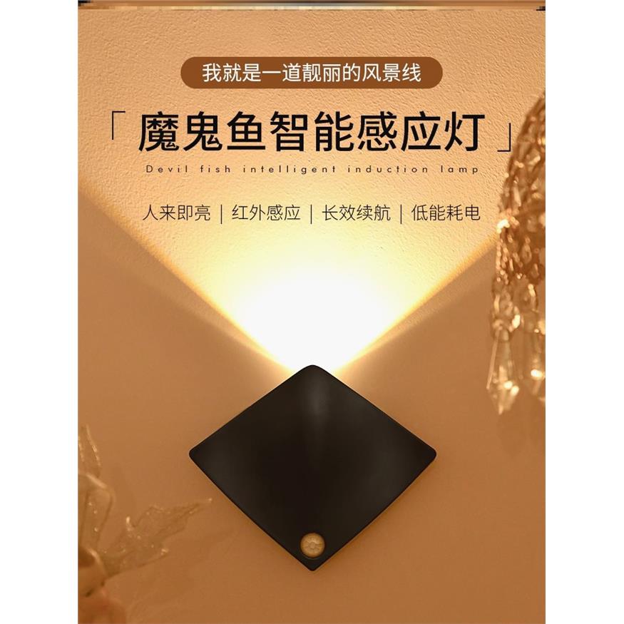 感应灯入户门小夜灯人体