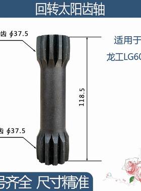 龙工LG6090回转太阳齿轴 12/12齿 118.5H 勾机挖机配件