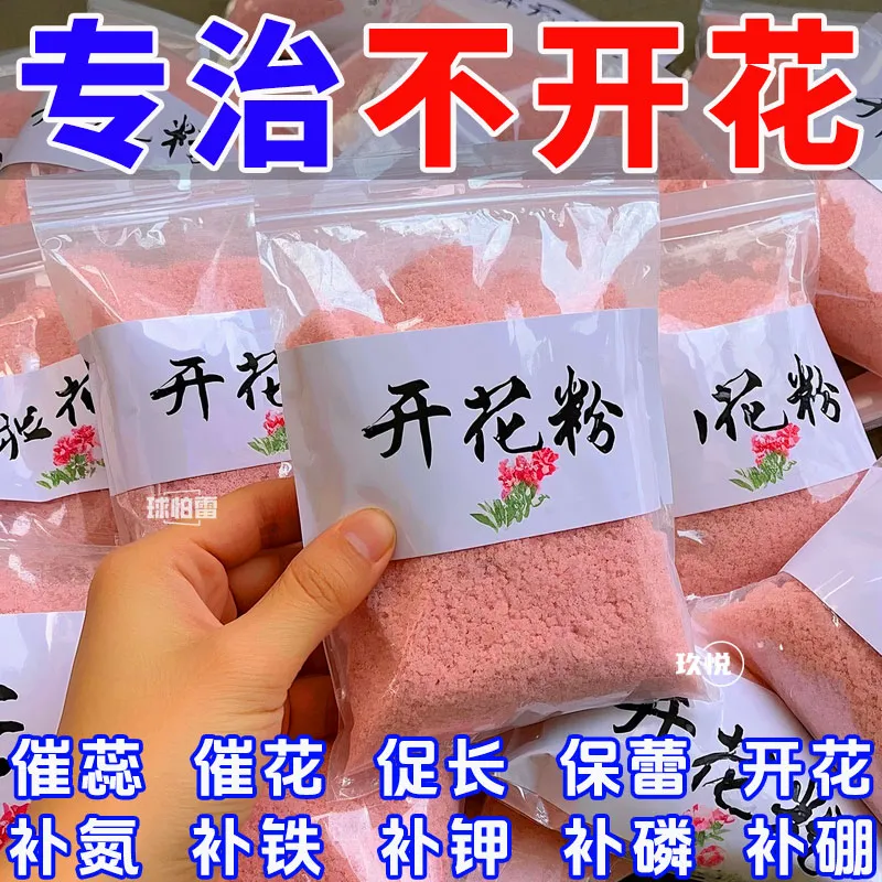 快速开花粉茶花桂花三角梅茉莉新款正品壮苗阳台促花盆栽园艺用品