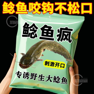 专用胡子鱼大口鲶埃及土鲶克星钓鱼诱食剂小药钓饵开口 鲶鱼疯正品