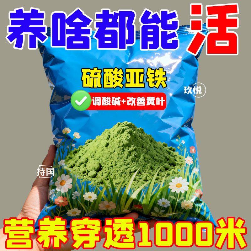 硫酸亚铁花用酸性茉莉栀子花花卉茶花铁肥养花肥料通用型黄叶补铁,鲜花速递/花卉仿真/绿植园艺,家庭园艺肥料,淘宝优惠券,粉丝福利购,淘宝优惠卷