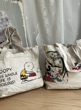 隔层帆布袋单肩包帆布包