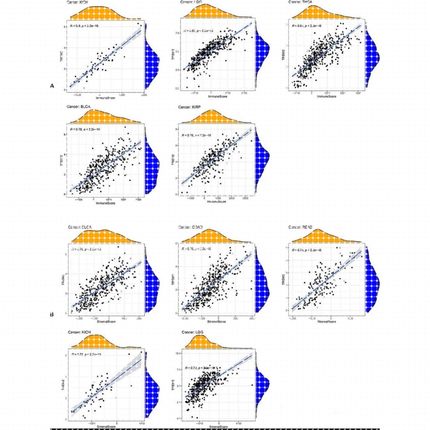 Python数据分析 机器学习 深度学习  数据库 sql查询  一对一辅导