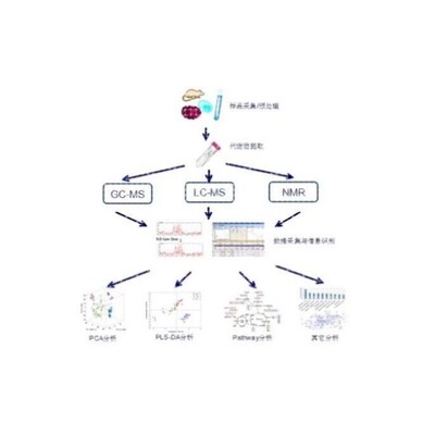 LCMS检测 液相色谱质谱分析检测 代谢组学 脂质组学 蛋白组学